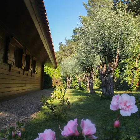 Casa Oliveiras- Entre O Mar E A Serra * Freixieiro de Soutelo