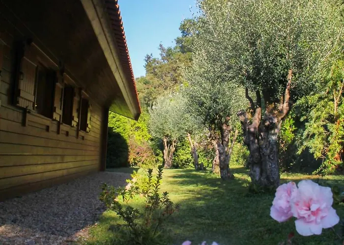 Casa Oliveiras- Entre O Mar E A Serra Σπίτι διακοπών